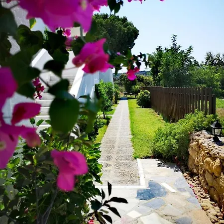 Apart-hotel Ilios And Irene Mastichari (Kos)