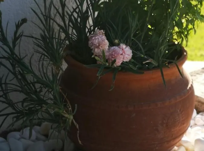 Apartahotel Ilios And Irene