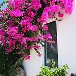 伊利奥斯和艾琳公寓式酒店 公寓式酒店 3*