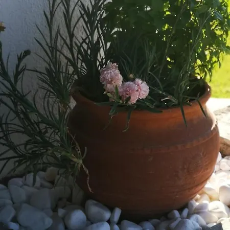 Hotel apartamentowy Ilios And Irene