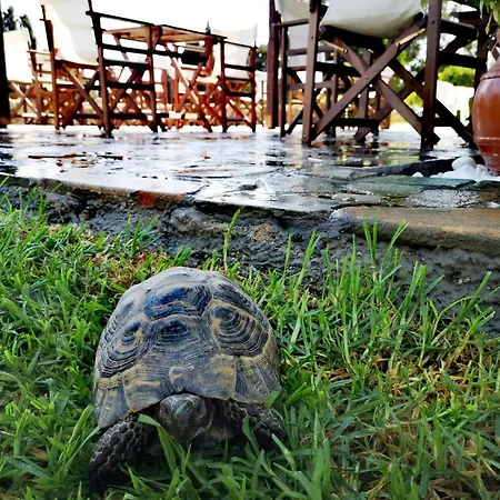 Ilios And Irene アパートホテル マスティハリ