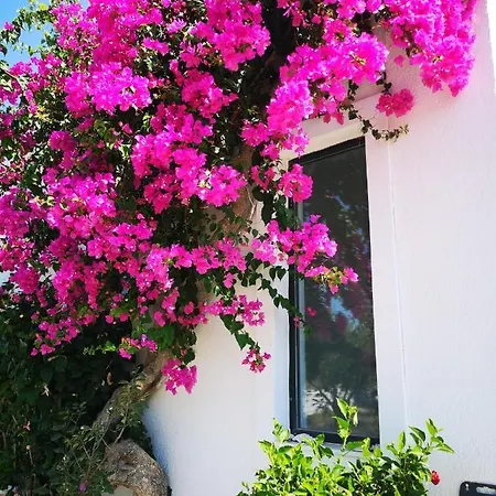 Ilios And Irene Hotel apartamentowy 3*