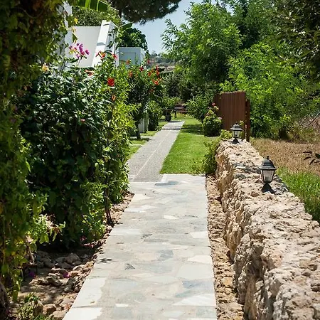 Ilios And Irene マスティハリ