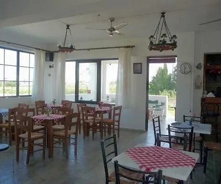 Ilios And Irene マスティハリ