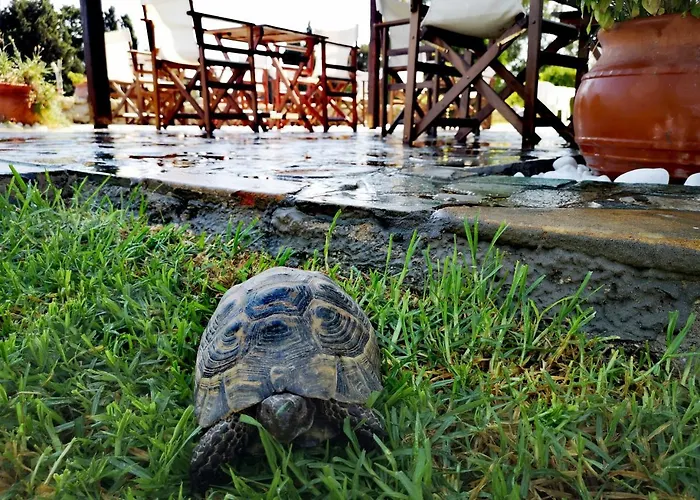 ήλιος και ειρήνη Ξενοδοχείο με διαμερίσματα Μαστιχάρι