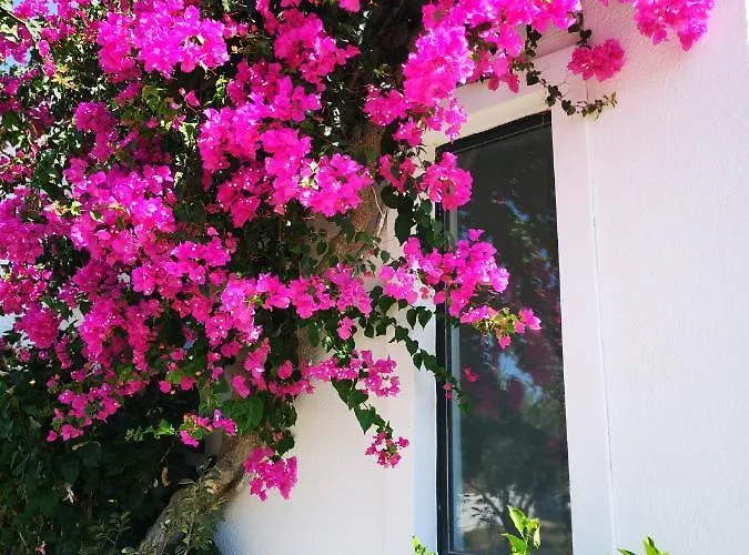 ήλιος και ειρήνη Ξενοδοχείο με διαμερίσματα 3*