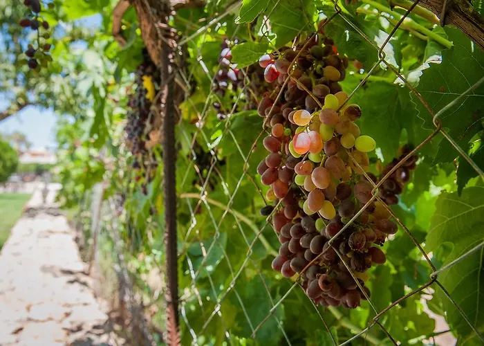 ήλιος και ειρήνη