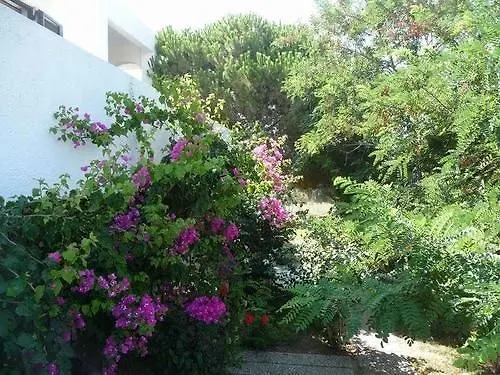 ήλιος και ειρήνη