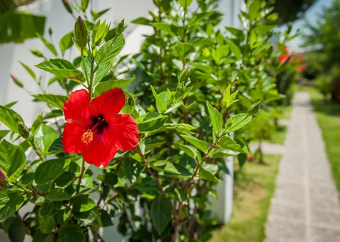 Ξενοδοχείο με διαμερίσματα ήλιος και ειρήνη